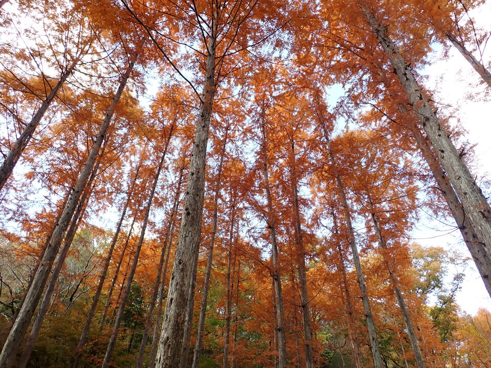 PC019442_mid.jpg