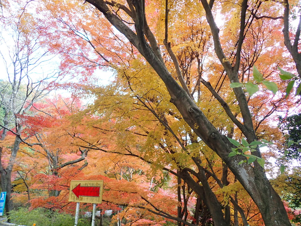 PC019466_mid.jpg