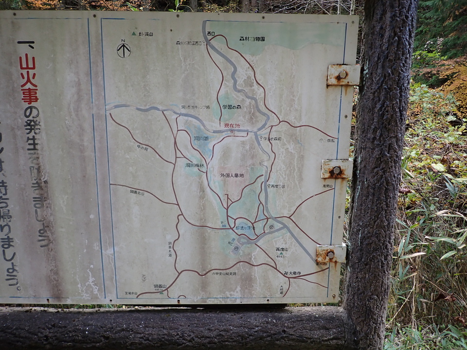 PC019479_mid.jpg