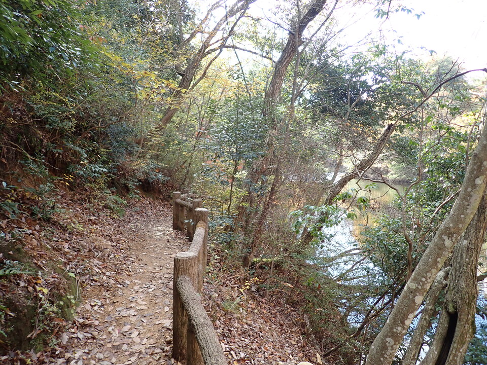 PC019487_mid.jpg