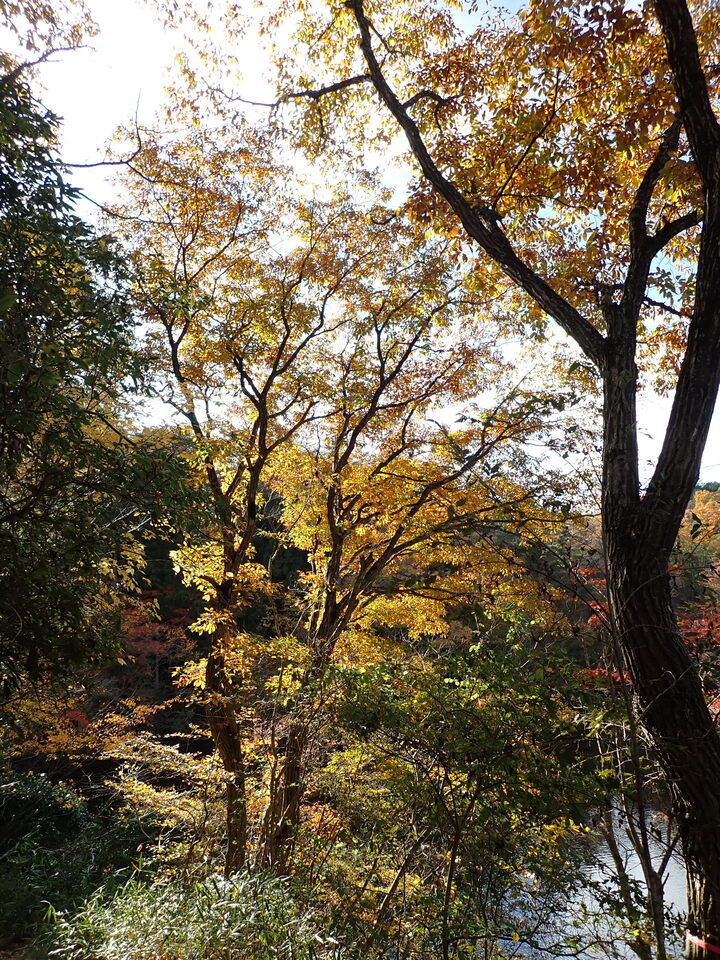 PC019488_mid.jpg