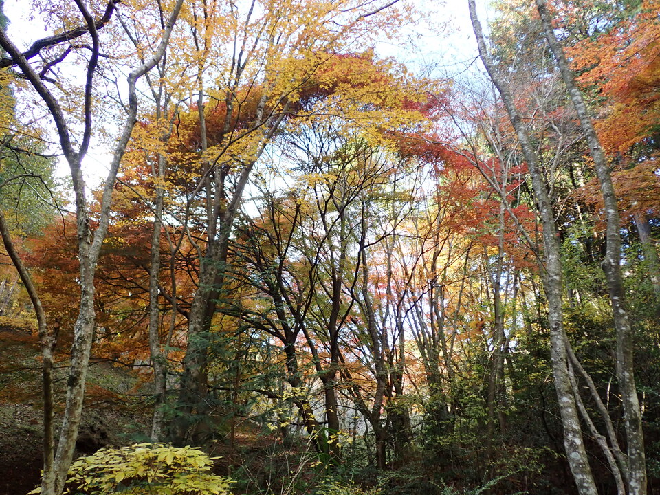 PC019492_mid.jpg