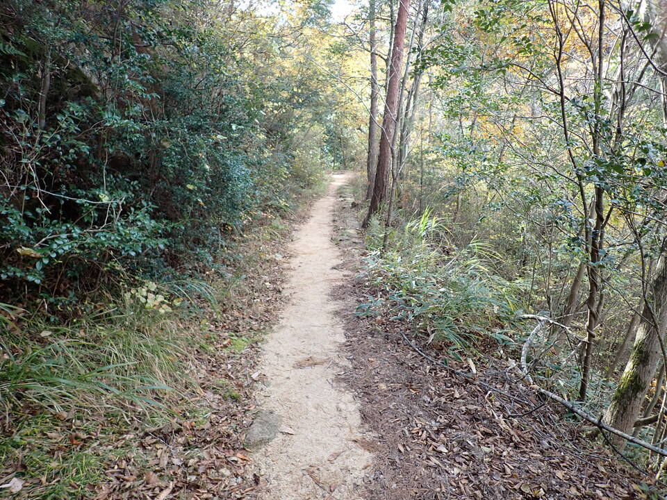 PC019501_mid.jpg