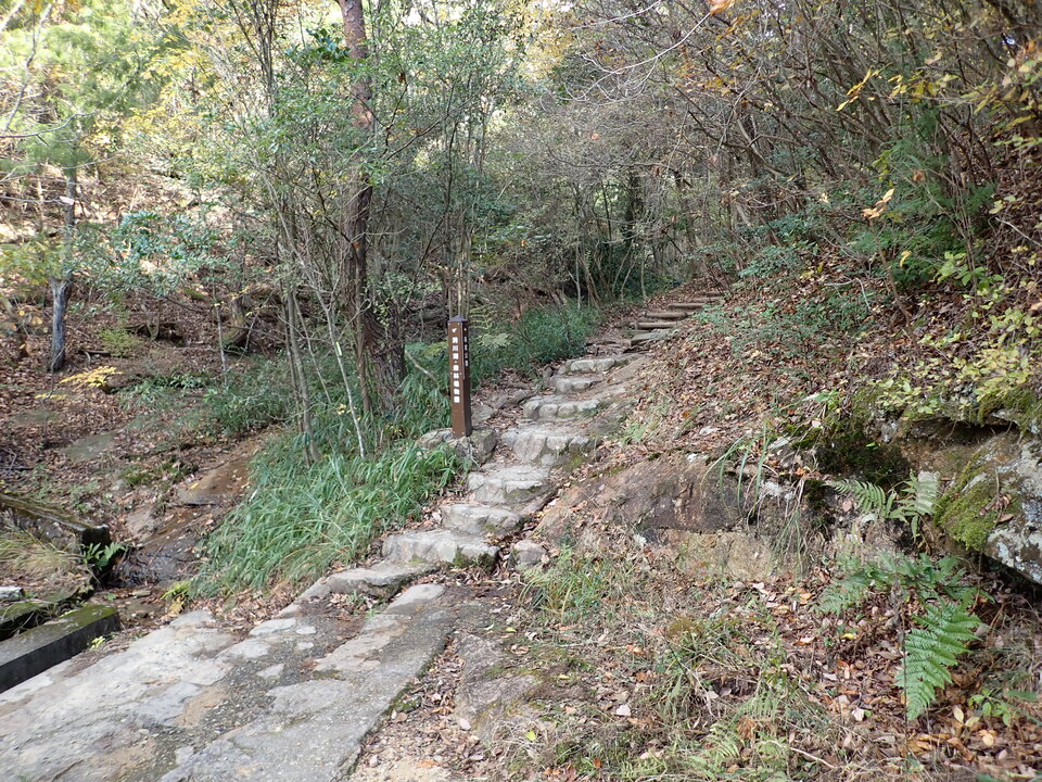 PC019503_mid.jpg