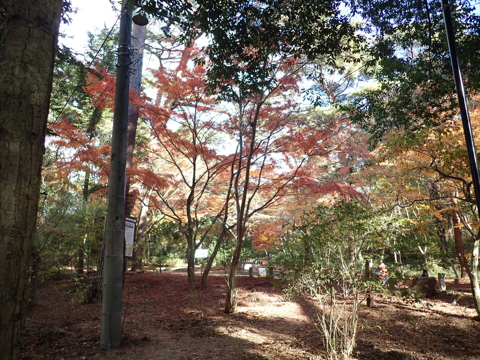 PC019504_mid.jpg