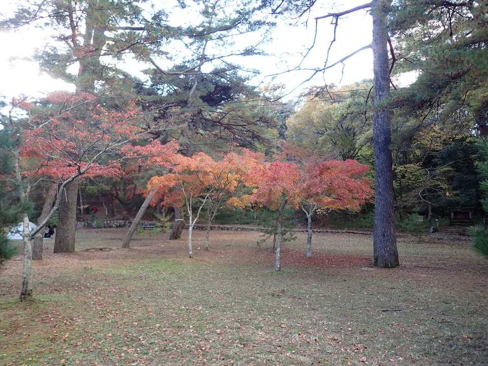 PC019510_mid.jpg