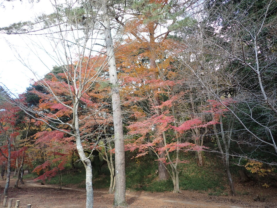 PC019511_mid.jpg