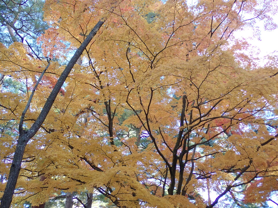 PC019521_mid.jpg