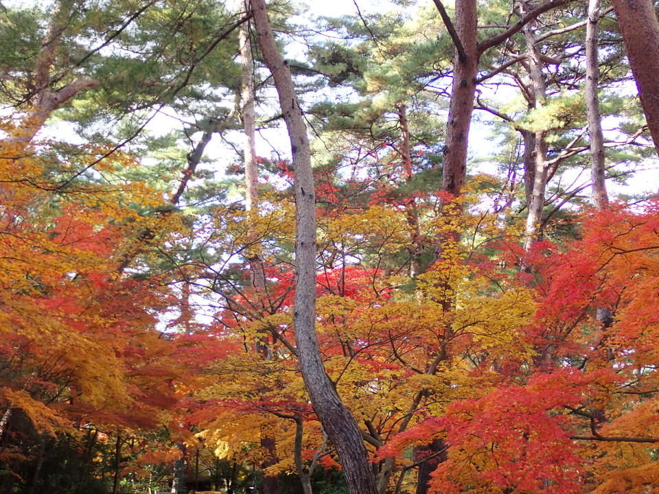 PC019528_mid.jpg