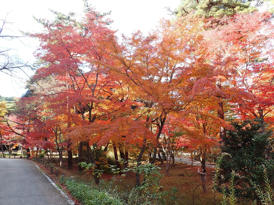 PC019605_mid.jpg