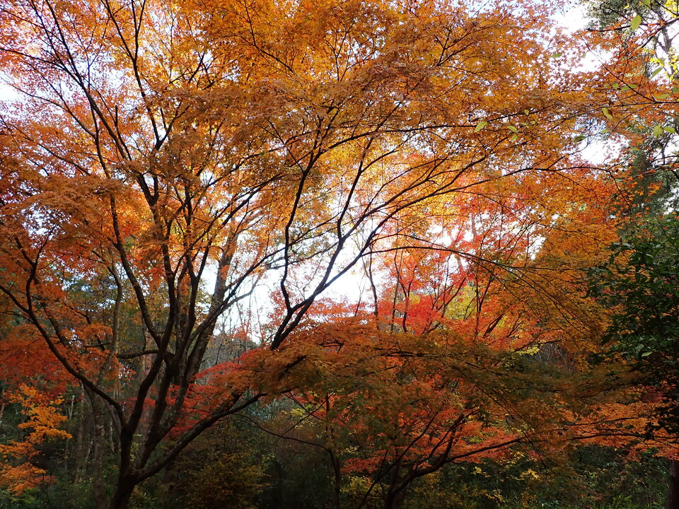 PC019625_mid.jpg