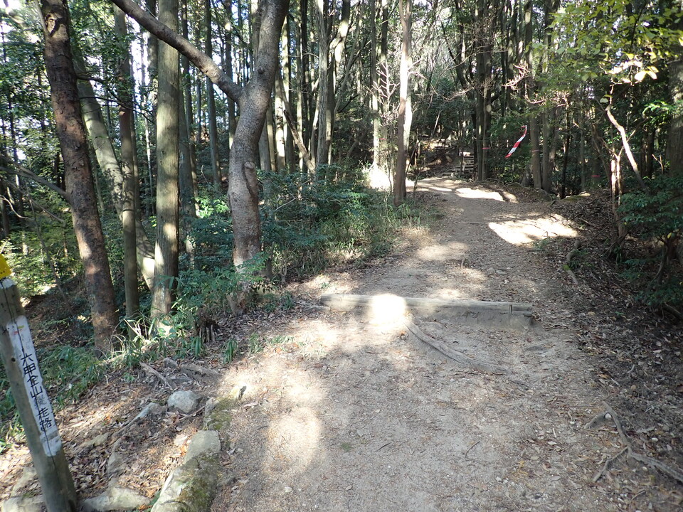 PC019631_mid.jpg