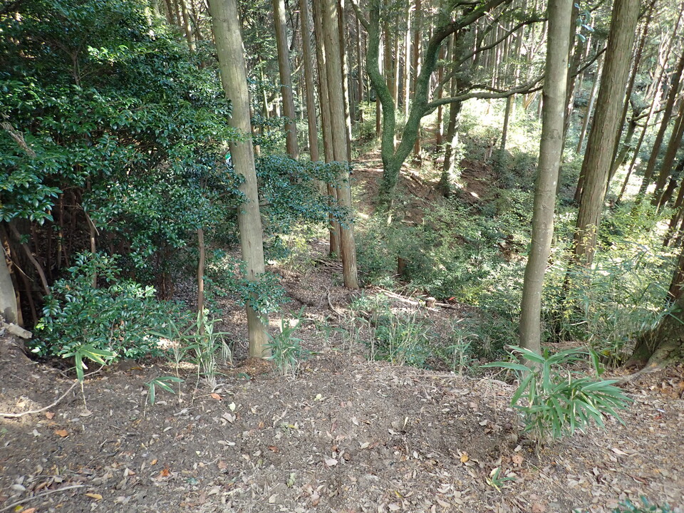 PC019632_mid.jpg