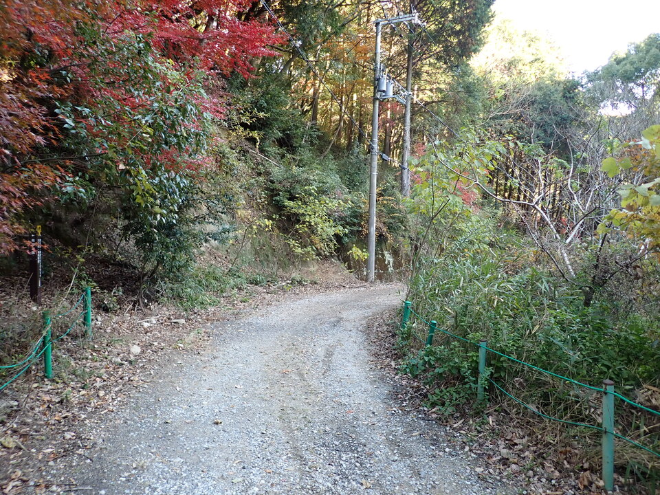 PC019637_mid.jpg