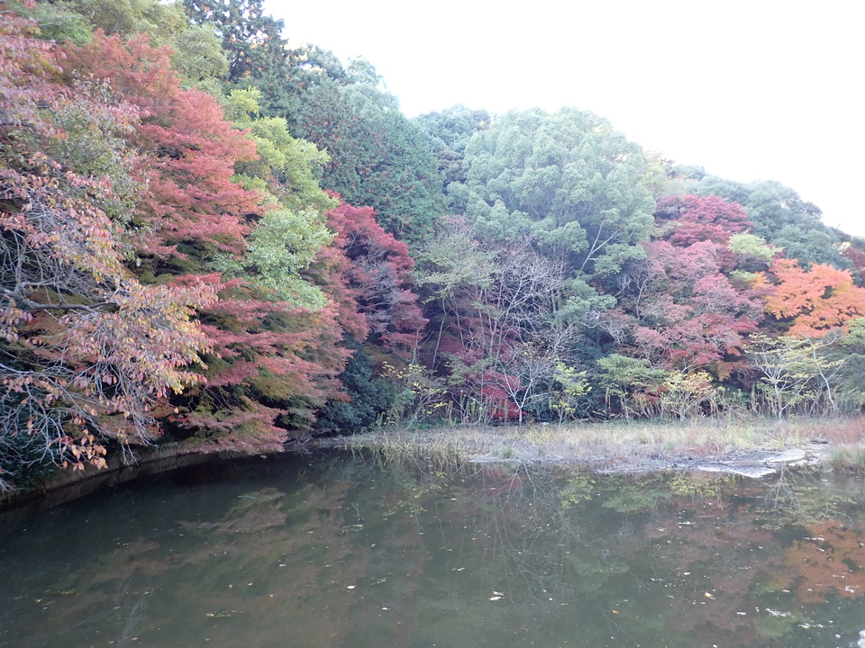 PC019646_mid.jpg