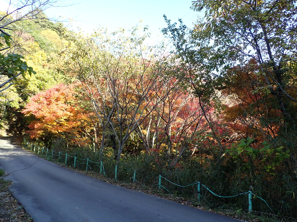 PC019649_mid.jpg