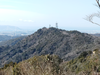 DSC_4215_thumb.png