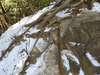 DSC_4223_thumb.png