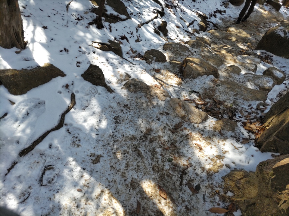 DSC_4227_mid.jpg