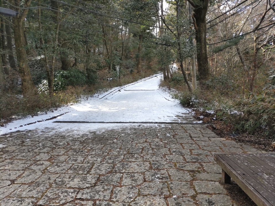 DSC_4236_mid.jpg