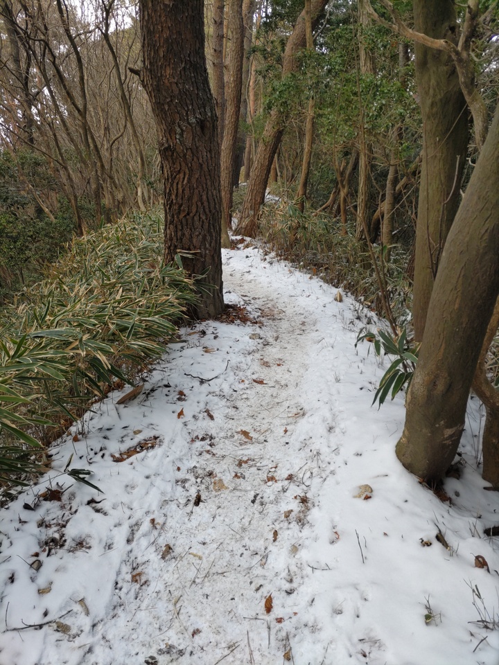 DSC_4258_mid.jpg