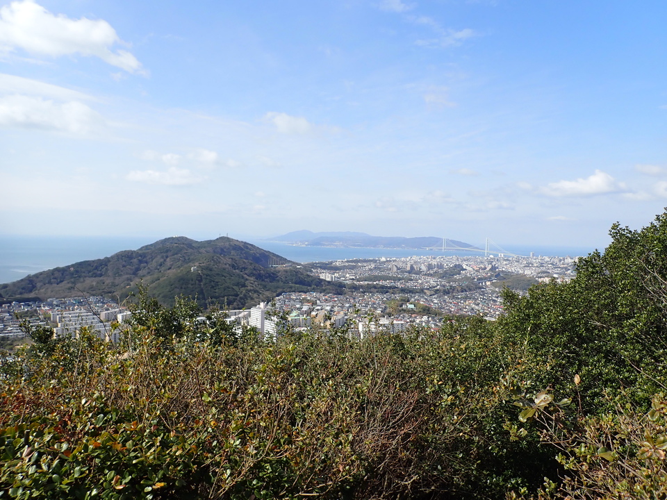 P3290141_mid.jpg