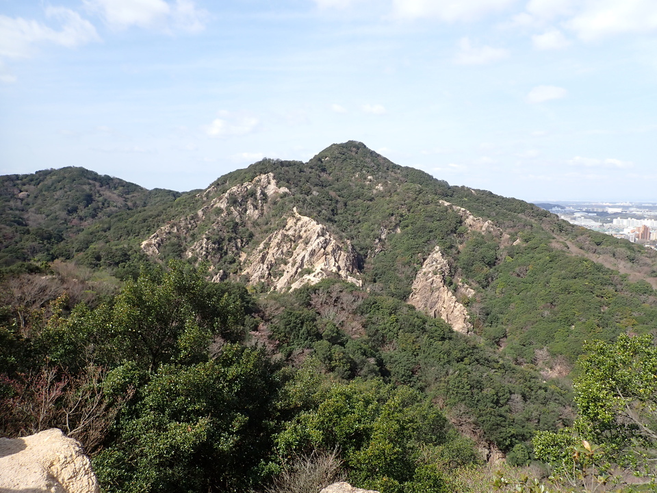 P3290168_mid.jpg