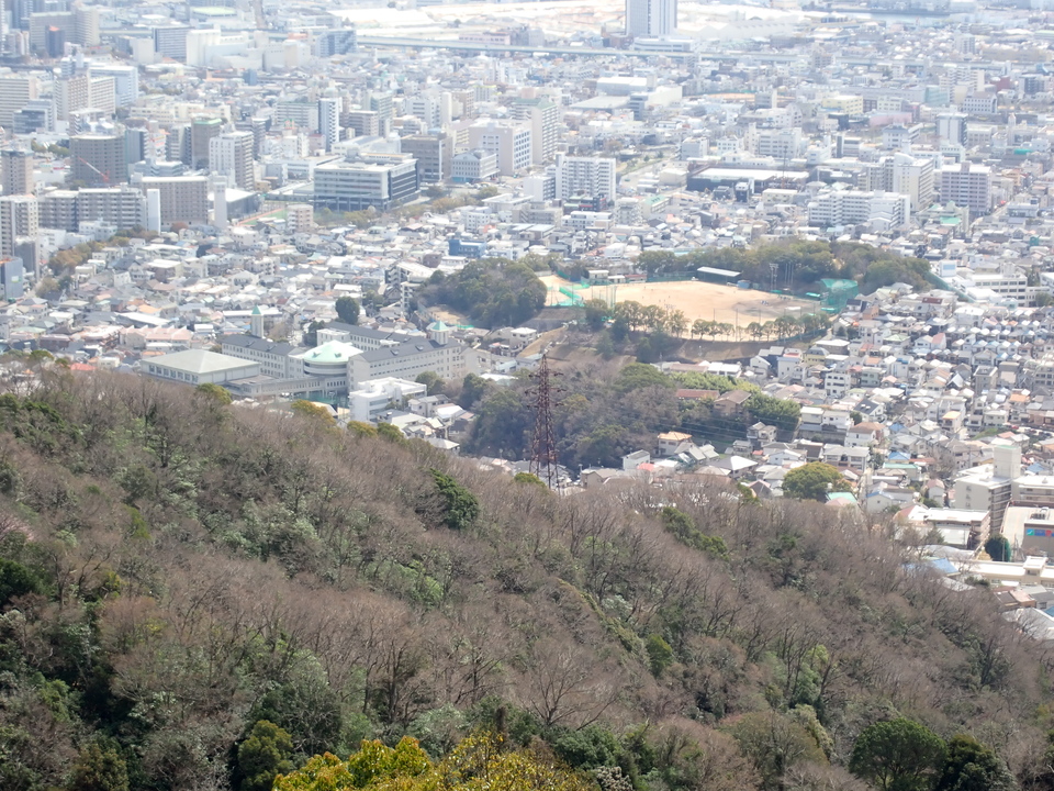 P3290176_mid.jpg