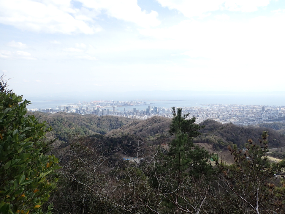 P3290181_mid.jpg