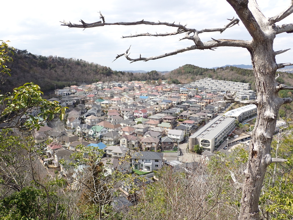 P3290193_mid.jpg