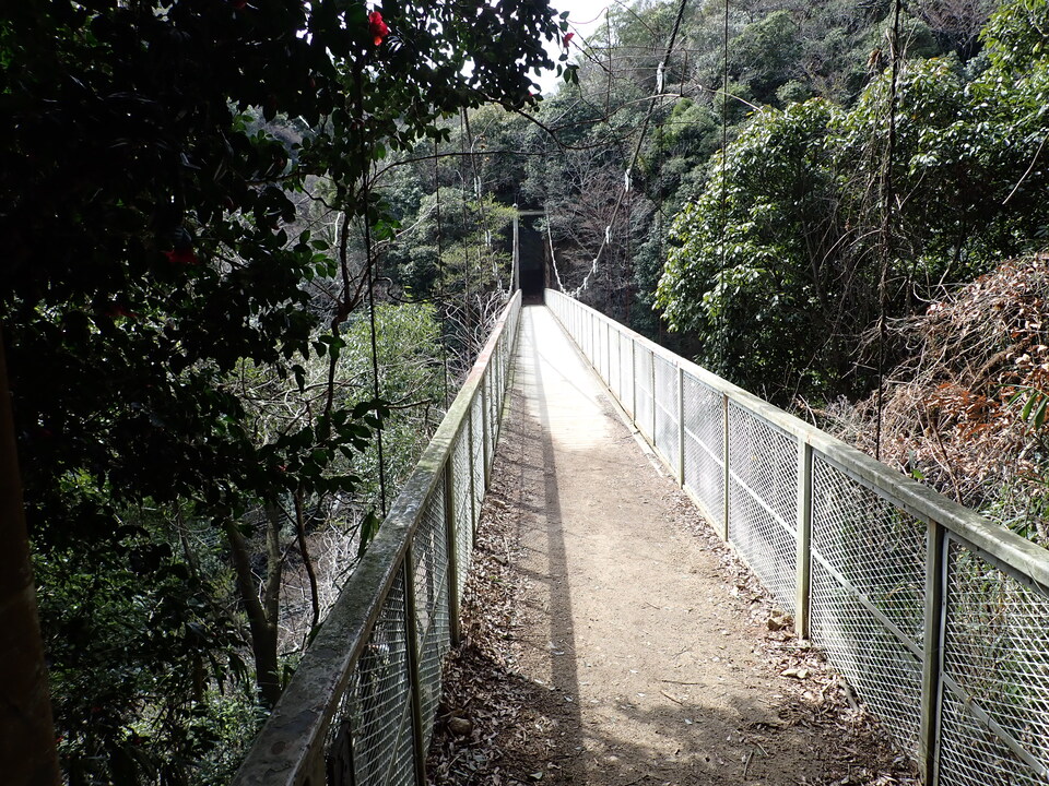 P3290197_mid.jpg