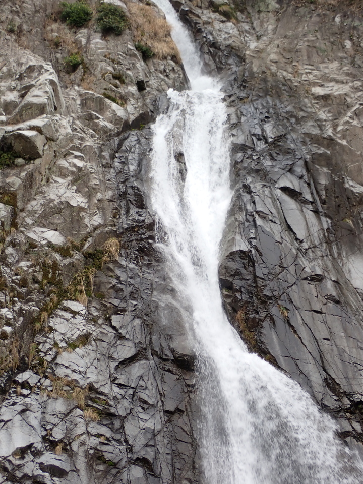 P3290215_mid.jpg