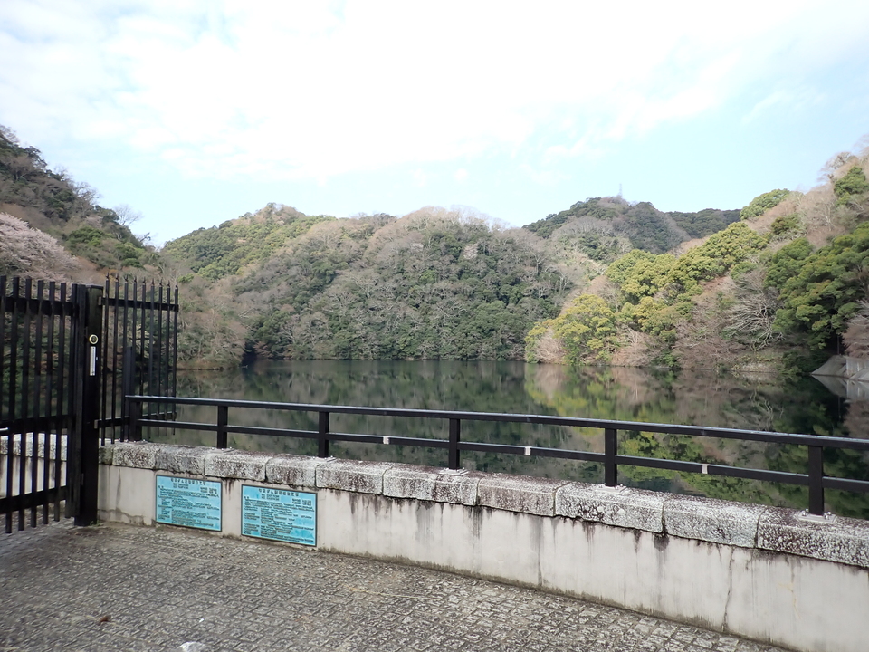 P4060234_mid.jpg