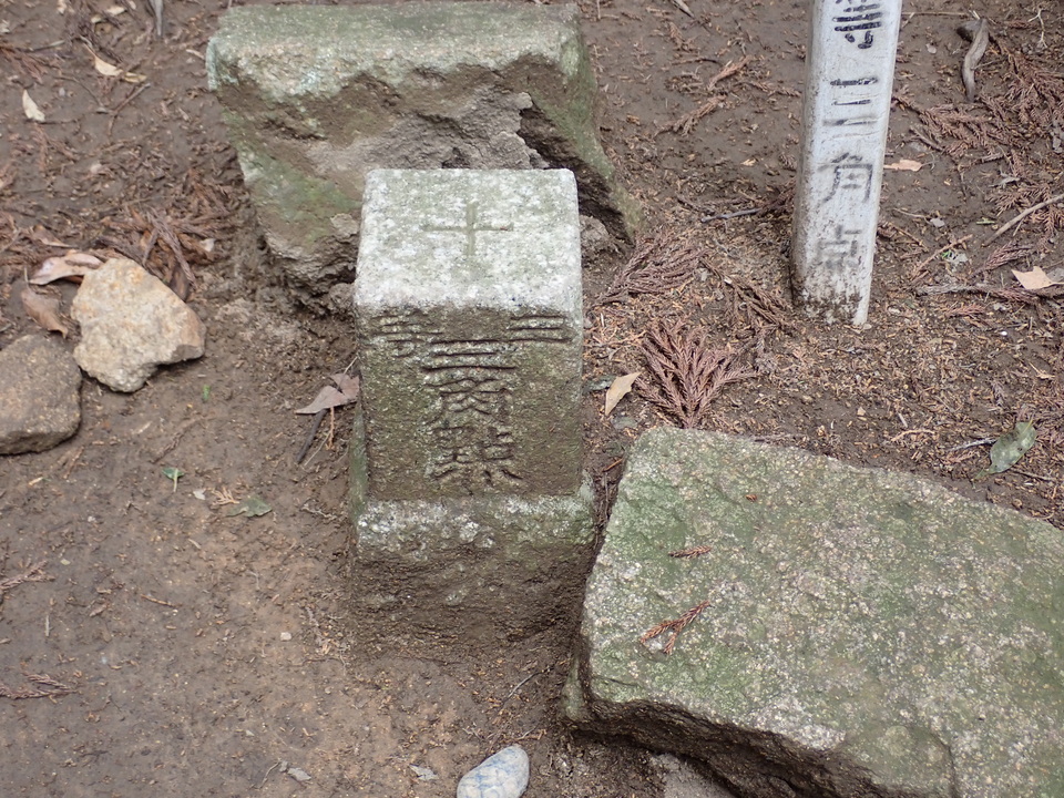 P4060238_mid.jpg