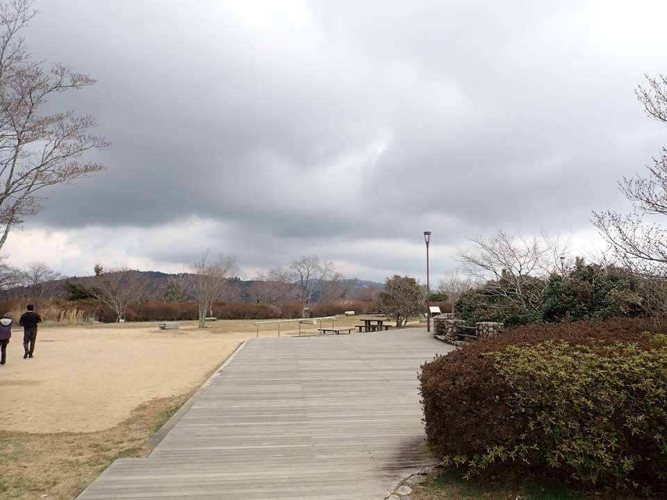P4060246_mid.jpg