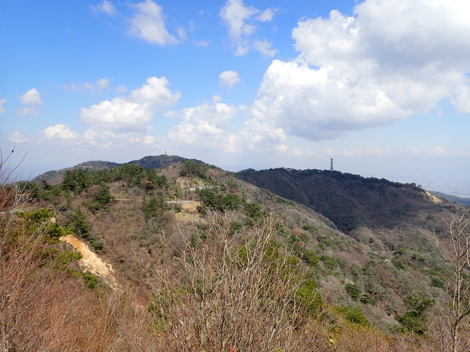 P4060266_mid.jpg