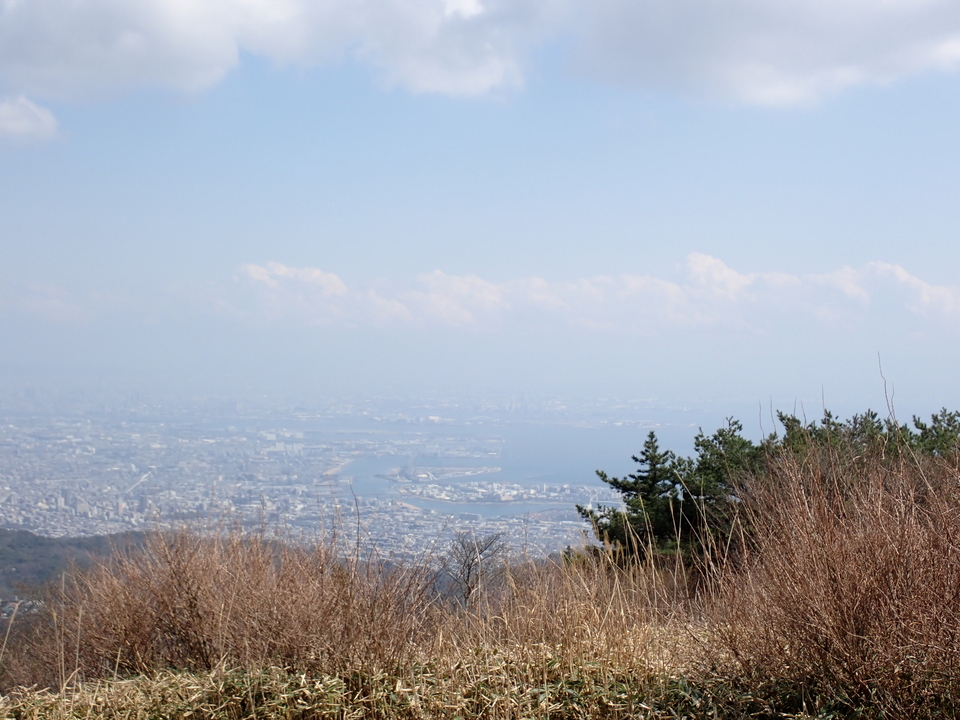 P4060271_mid.jpg