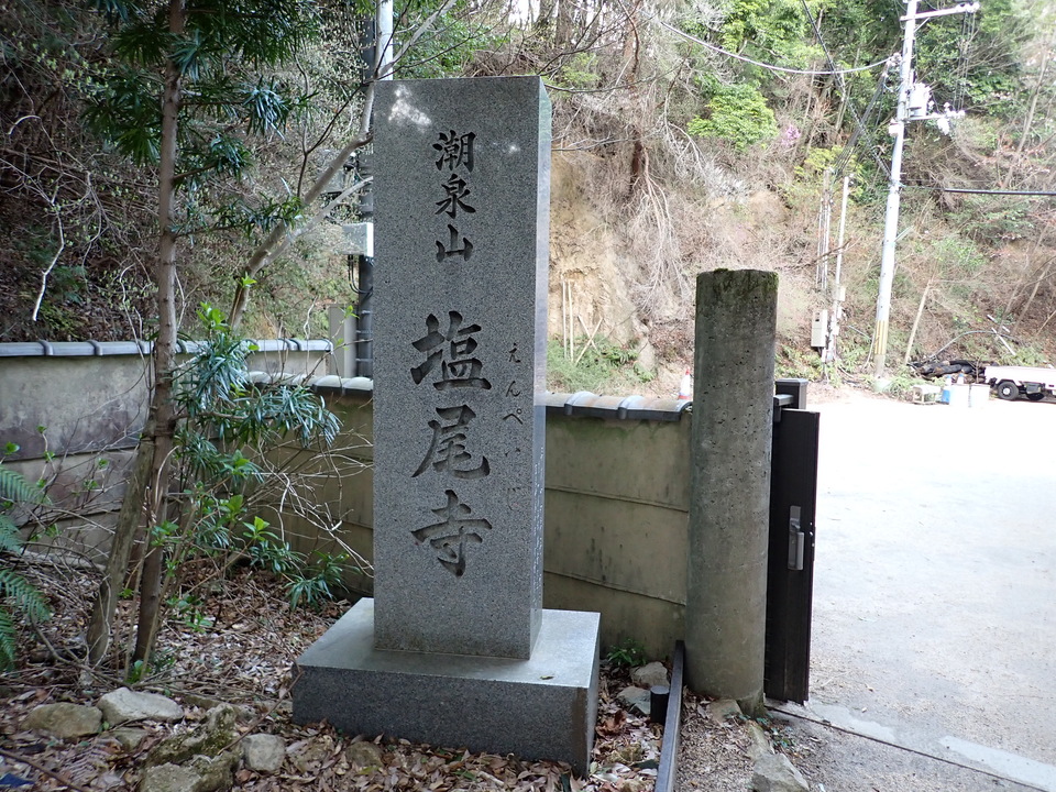 P4060286_mid.jpg