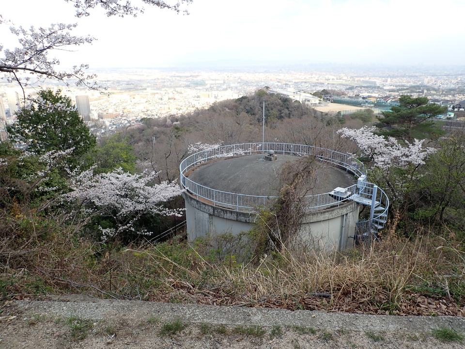 P4060291_mid.jpg