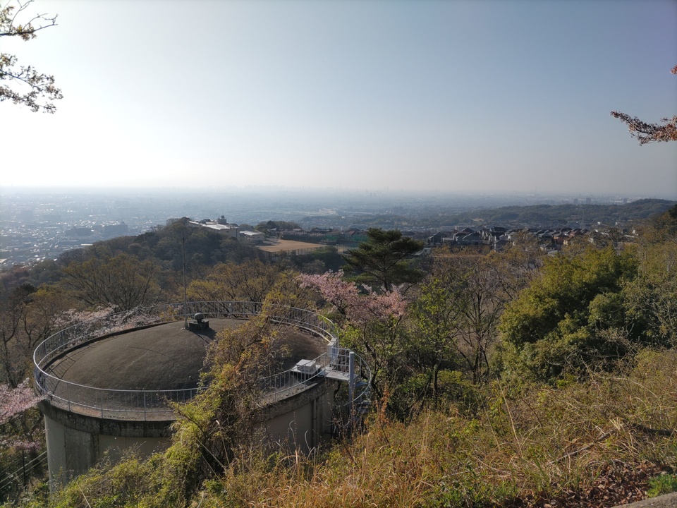 DSC_4420_mid.jpg