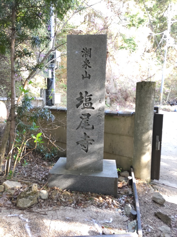DSC_4423_mid.jpg