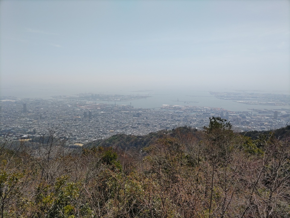 DSC_4431_mid.jpg