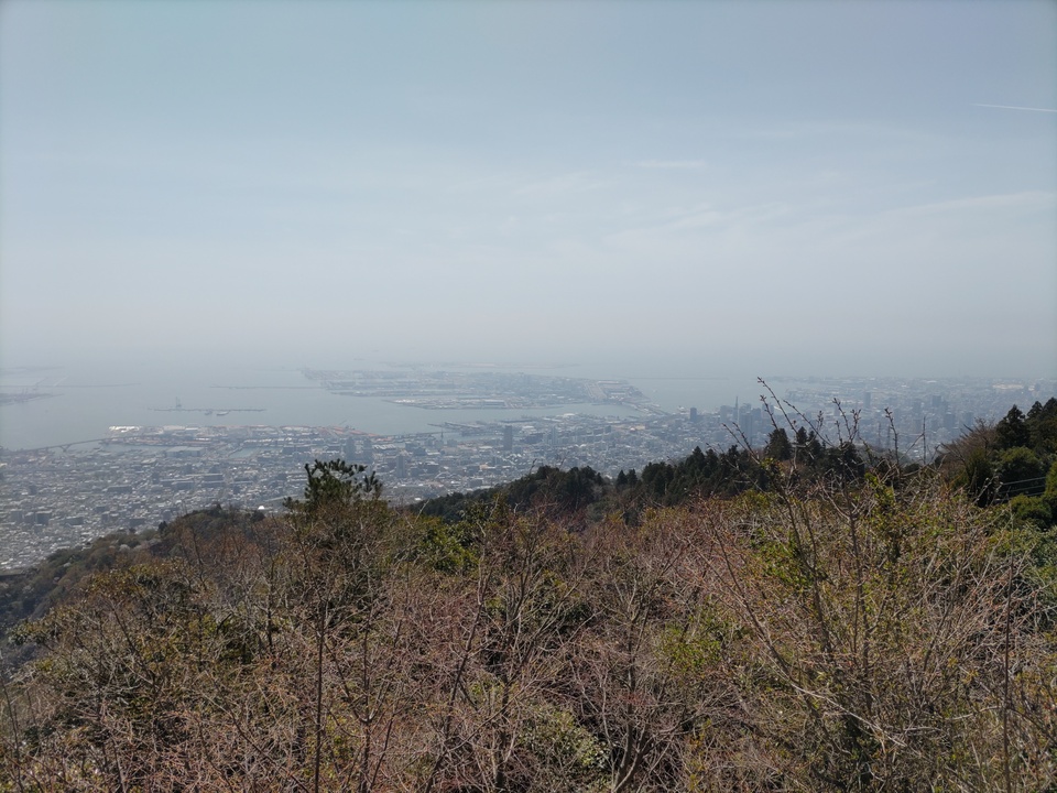 DSC_4432_mid.jpg