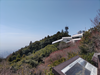 DSC_4433_thumb.png