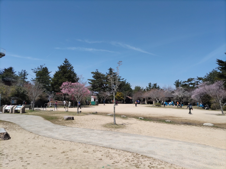 DSC_4435_mid.jpg