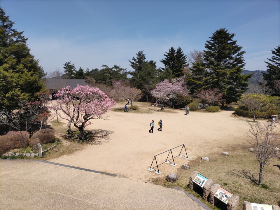DSC_4441_mid.jpg