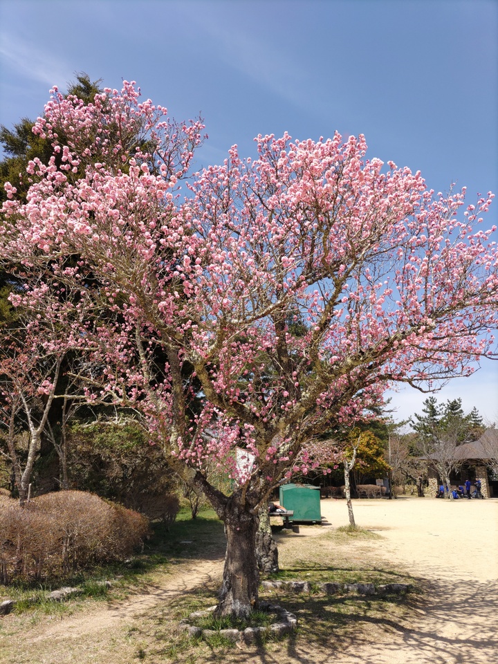 DSC_4444_mid.jpg