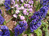 DSC_4471_thumb.png