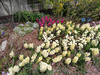 DSC_4472_thumb.png