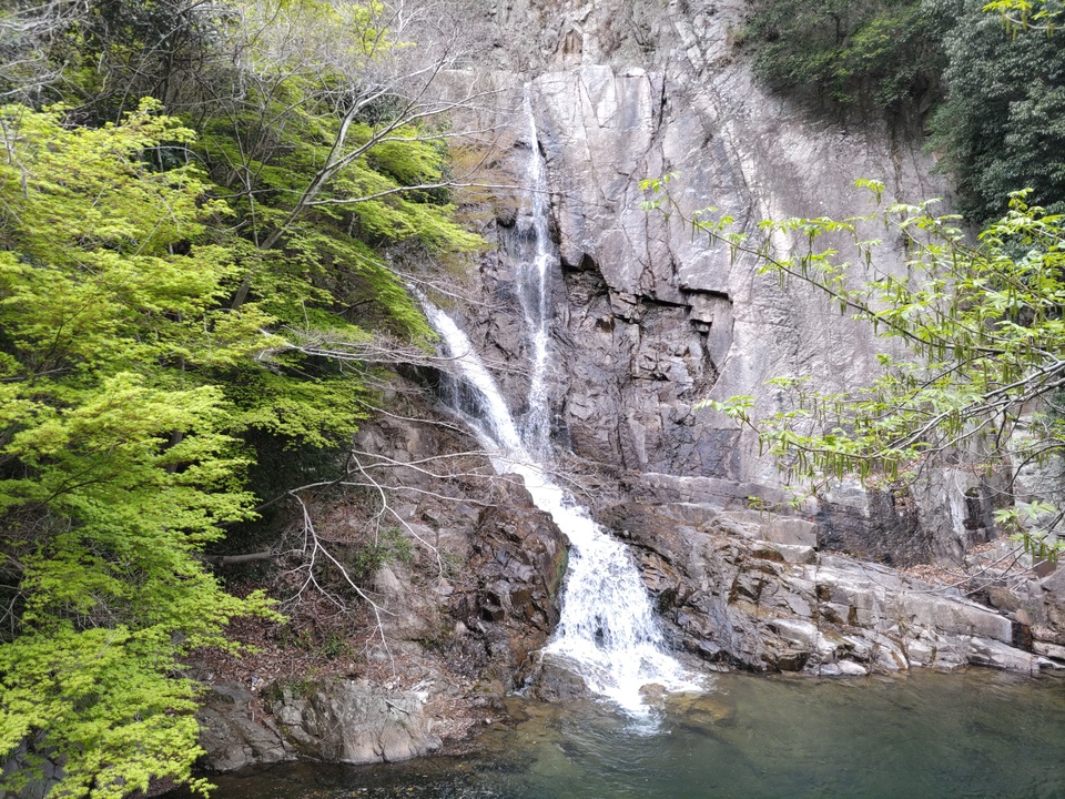 DSC_4483_mid.jpg